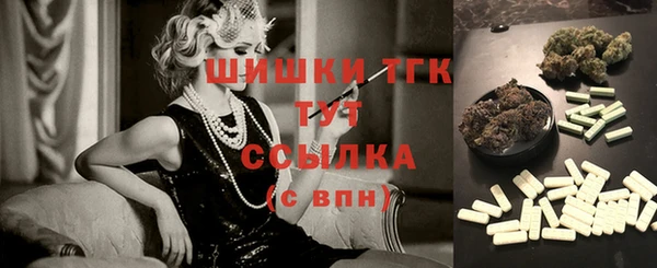 твердый Алексеевка