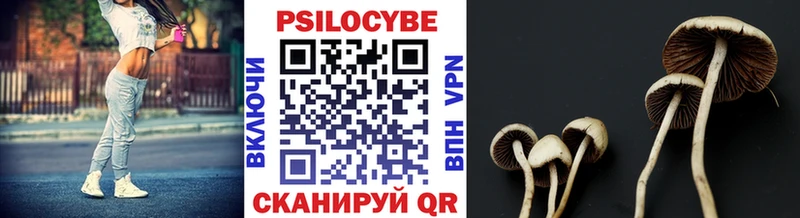 Галлюциногенные грибы Cubensis  маркетплейс наркотические препараты  Пролетарск 