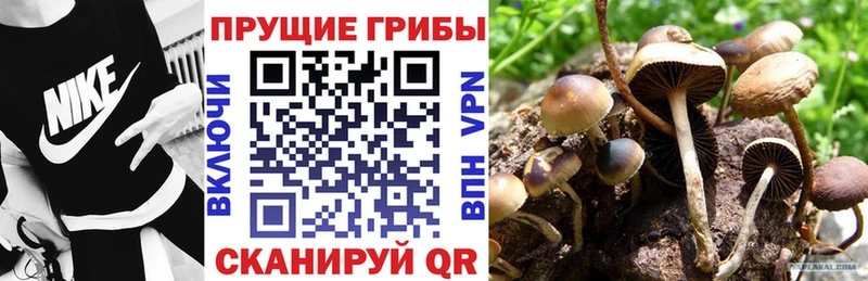 Псилоцибиновые грибы мухоморы Пролетарск